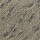 Masland Carpets: Gamma Grey Matter